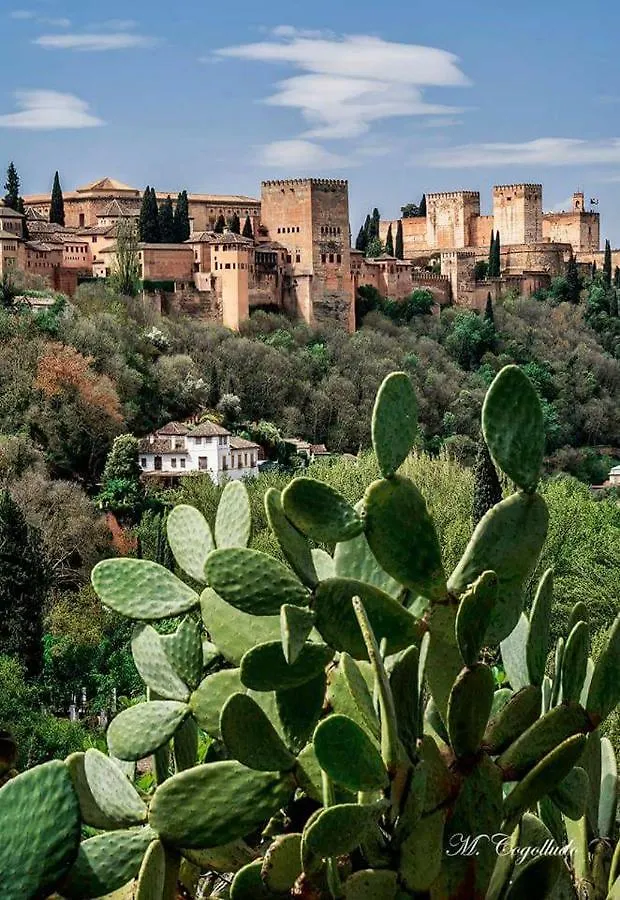 Apartamento Realejo Centro Ciudad Granada